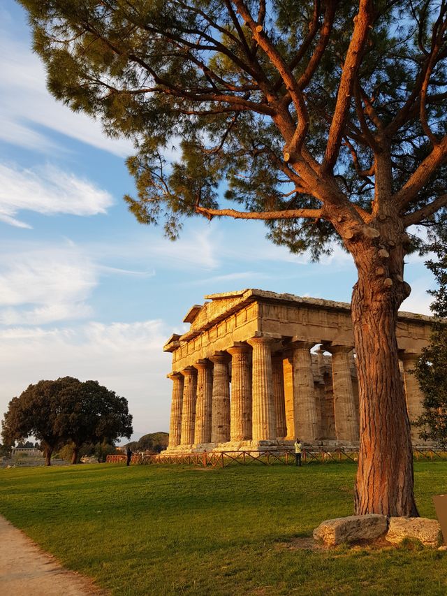 Antiker griechischer Tempel von Paestum im Sonnenlicht mit Pinienbaum